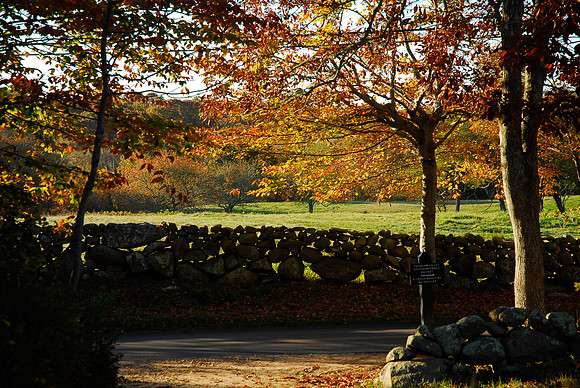 Middle Road, Chilmark