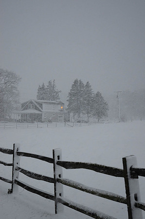 Winter storm, West Tisbury