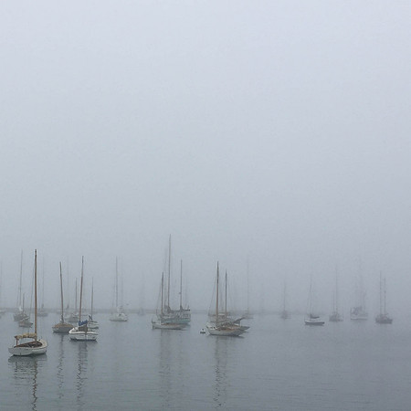 Vineyard Haven Harbor