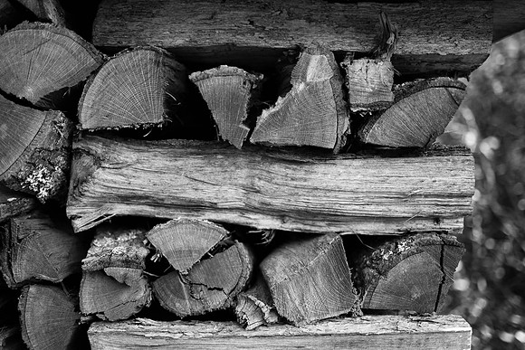 Logs