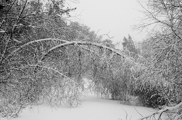 West Tisbury