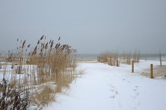 Lucy Vincent Beach, Chilmark