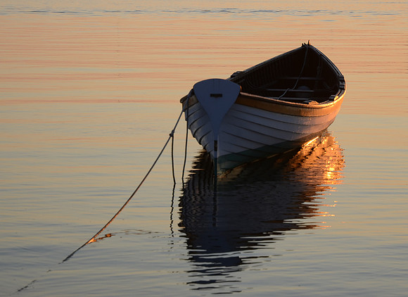 Vineyard Haven