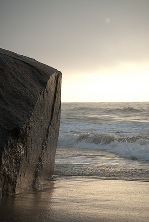 "Sentinel", Lucy Vincent Beach, Chilmark