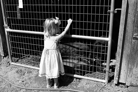 Innocent Curiosity