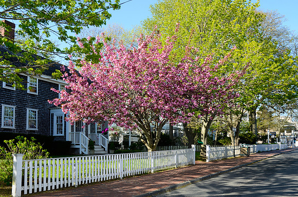 North Water Street, Edgartown