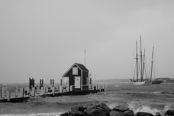 Vineyard Haven