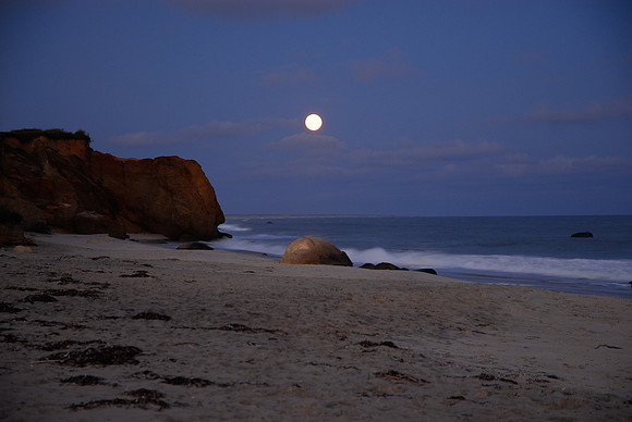 Lucy Vincent Beach